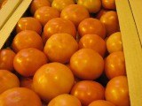 Заречный обеспечит Пензу огурцами и томатами