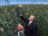 Пензенская область продемонстрирует новые подходы к развитию овощеводства
