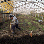 Компания 