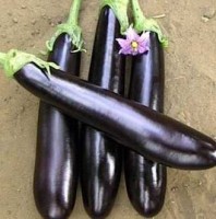 Баклажаны способствуют похудению
