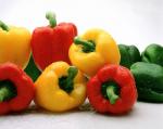 Овощеводы области познакомились с высокопродуктивными сортами и гибридами овощных, бахчевых культур и картофеля от агрофирмы «СеДеК»