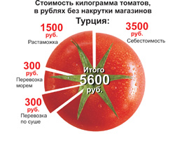 Курсом помидора