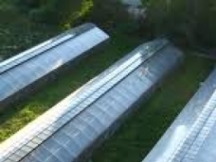 В песках Мойынкумов появилось первое тепличное хозяйство