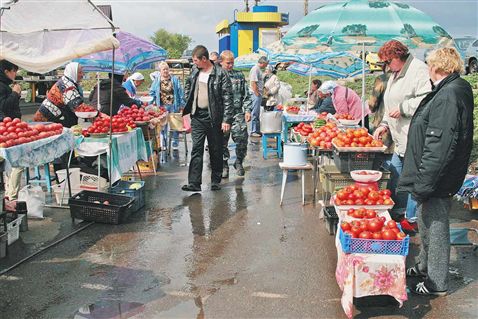 Помидорная столица