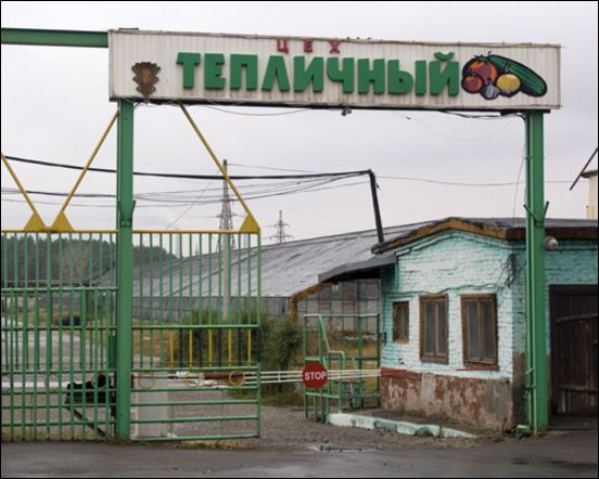 В Бийске ликвидируется совхоз «Тепличный»