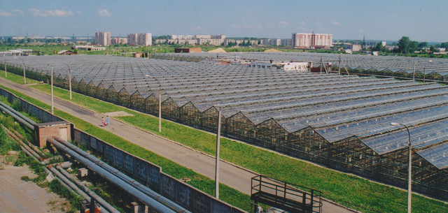 700 млн. рублей на создание тепличного комплекса