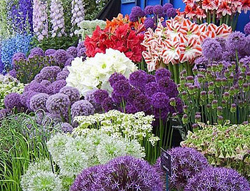 Международная выставка «ЦВЕТЫ-FLOWERS - 2011» пройдет на ВВЦ