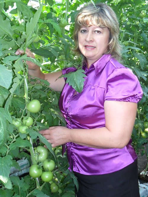 Культурооборот