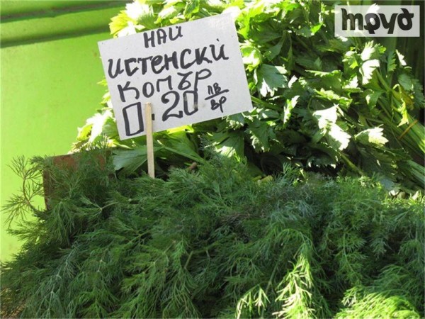 Из-за холодов в Болгарии резко подорожали помидоры и огурцы