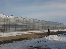 «ТРИВОНТ» повышает энергоэффективность теплиц