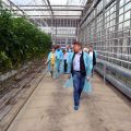 Ветераны журналистского цеха первыми оценили новинки от «Высоковского»