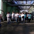 Когда взаимодействие важнее конкуренции