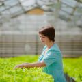 Новые рекорды урожайности