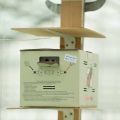 Теперь в теплицах будут жить только отечественные шмели