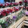 Новый павильон цветов – на Центральном рынке!