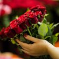 Коллектив «Высоковского» сердечно поздравляет всех с Днем Великой Победы