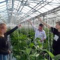 Экскурсии на «Высоковский»: профориентация на плодородных гектарах