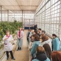 «Высоковский» приглашает на экскурсии