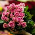 Все секреты: Как продлить красоту роз