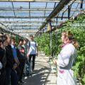 Школьники из Никольского заинтересовались работой на 