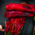 Акция на сладкий перец «Палермо»