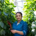 Главный костромской перец: уже в продаже!