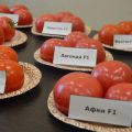 Всем сестрам по сортам