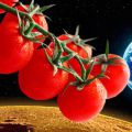 12 апреля – день, перевернувший историю!
